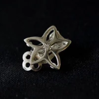 Accentus plata